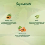 Biotique Advanced Ayurveda Papaya Deep Cleanse Face Wash