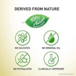 Body lotion infographic