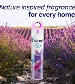 Buy Odonil Lavender Mist Room Spray