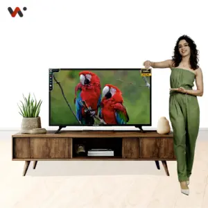 Wiscon WIL24HN 24 inch Non-Smart LED TV